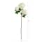 White Snowball Hydrangea Artificial Flower Stem, 2ct.